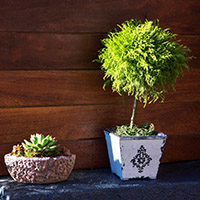 Commercial Construction Contractor Fraizer Park, CA